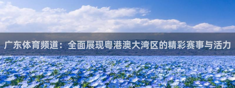 nba直播吧小九直播：广东体育频道：全面展现粤港澳大湾区的精彩赛事与活力