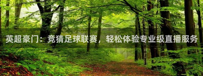 小九直播体育免费直播：英超豪门：竞猜足球联赛，轻松体验专业级直播服务