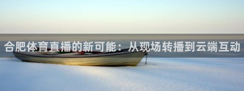 nba比赛直播免费观看直播小九直播：合肥体育直播的新可能：从现场转播到云端互动