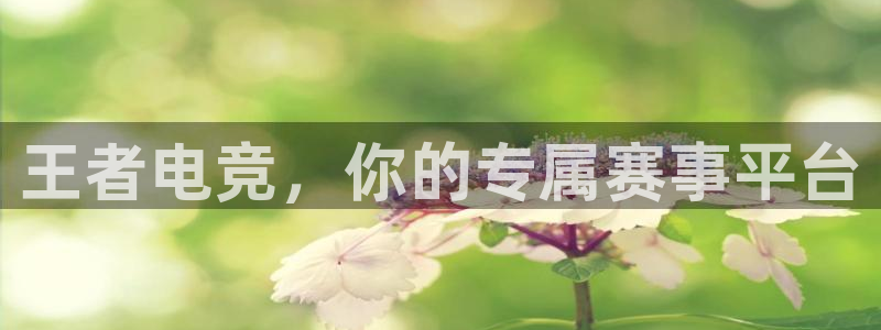 小九直播体育下载：王者电竞，你的专属赛事平台