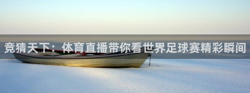 nba在线直播小九直播：竞猜天下：体育直播带你看世界足球赛精彩瞬间