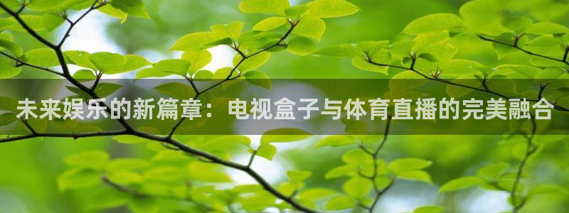 小九直播篮球：未来娱乐的新篇章：电视盒子与体育直播的完美融合