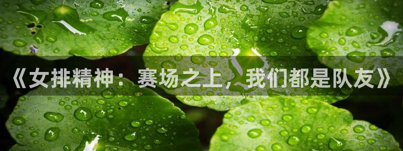 小九直播：《女排精神：赛场之上，我们都是队友》