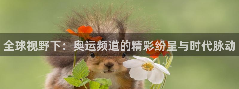 小九足球高清免费直播：全球视野下：奥运频道的精彩纷呈与时代脉动