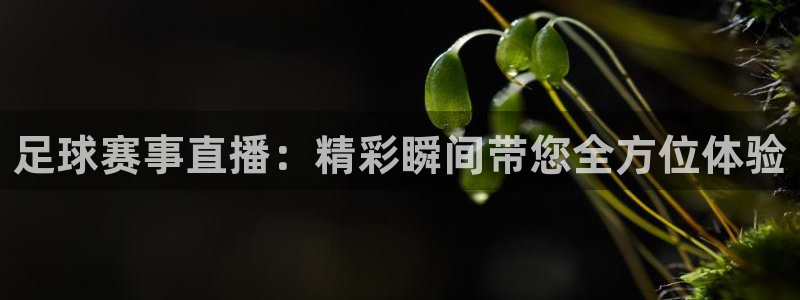 英超直播小九直播：足球赛事直播：精彩瞬间带您全方位体验