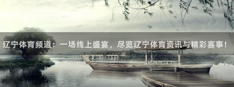 nba直播免费观看直播在线高清小九直播：辽宁体育频道：一场线上盛宴，尽览辽宁体育资讯与精彩赛事！